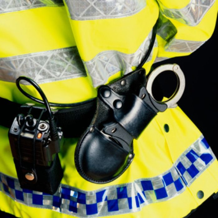 How can FCS K9 Unit Stop crimes?